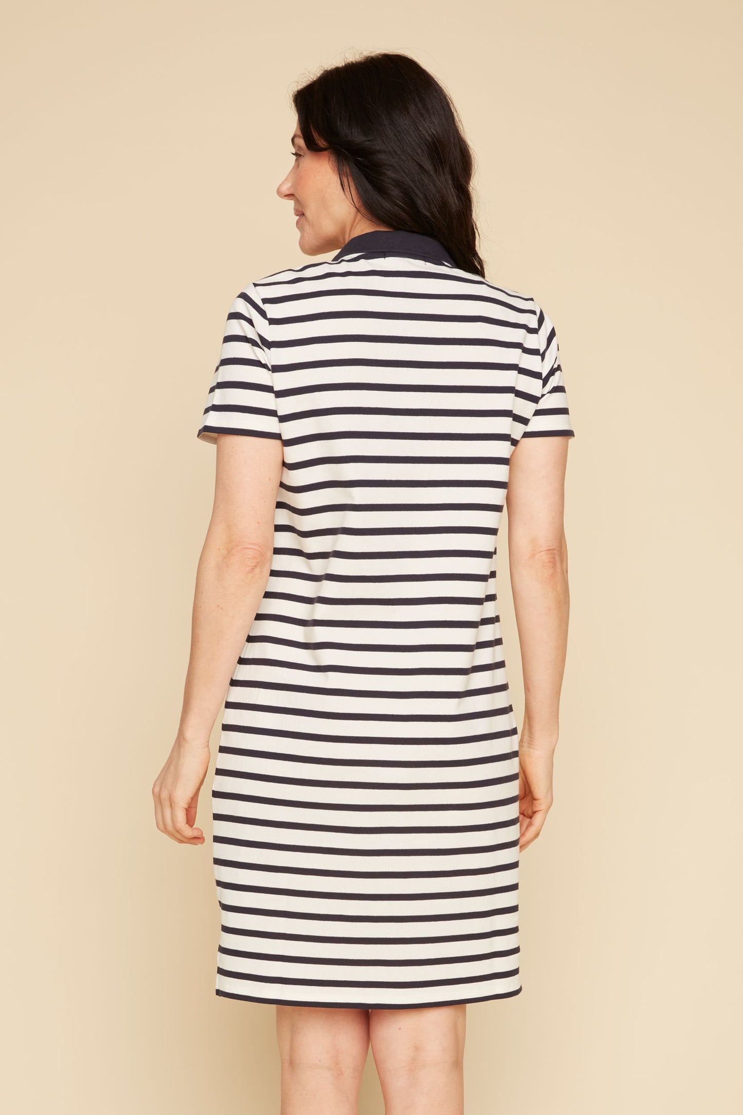 Stripe Collar Dress