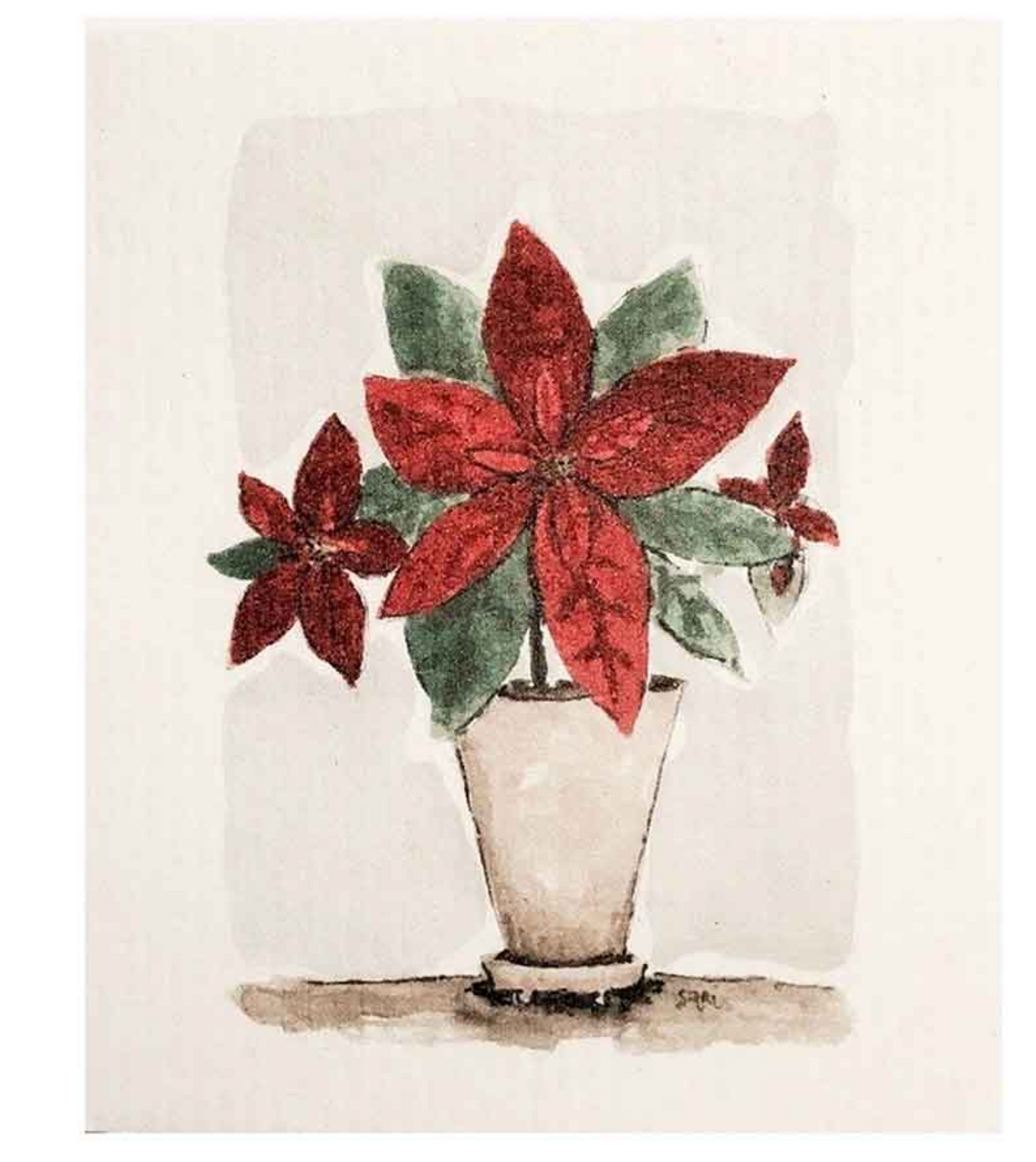 Poinsettia Dishcloth