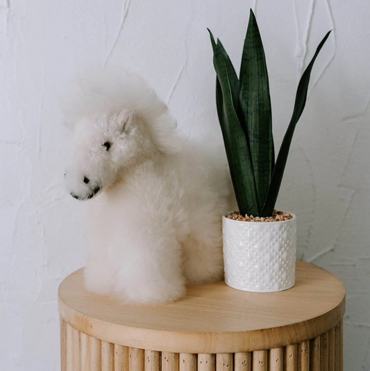 Alpaca Fur Horse